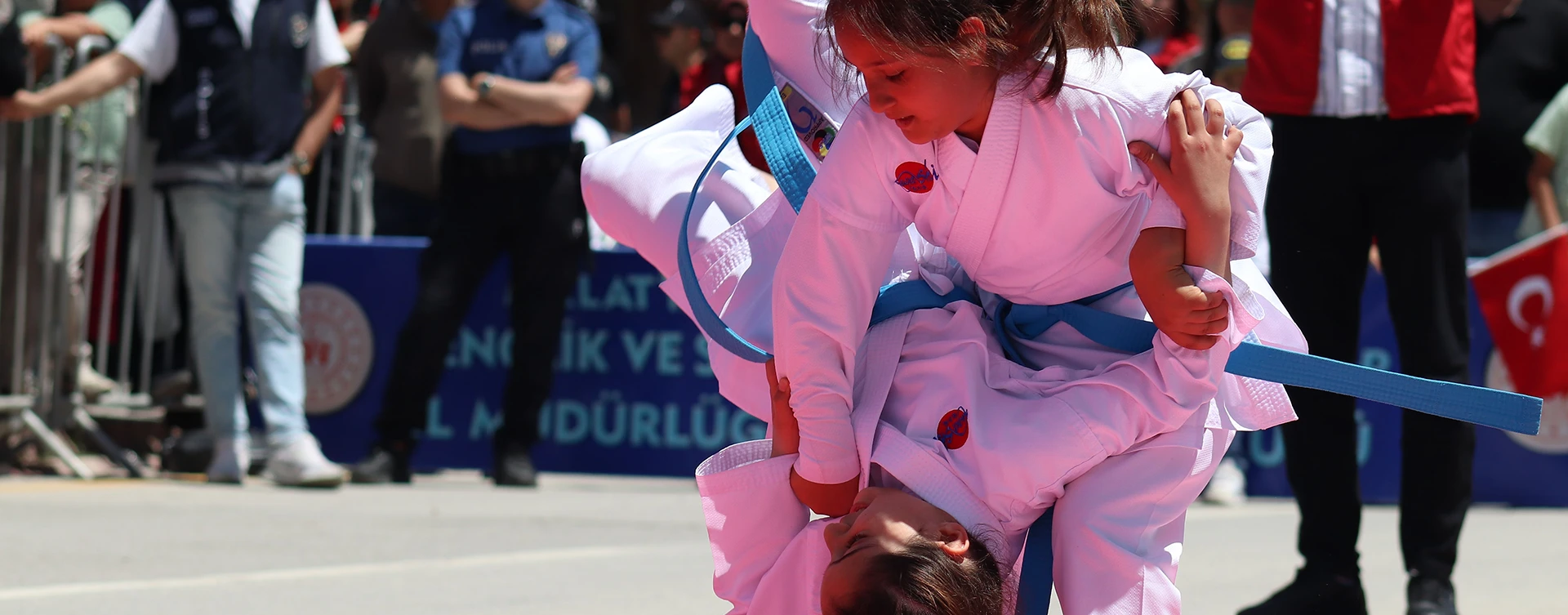 Pro Play Zone Taekwondo